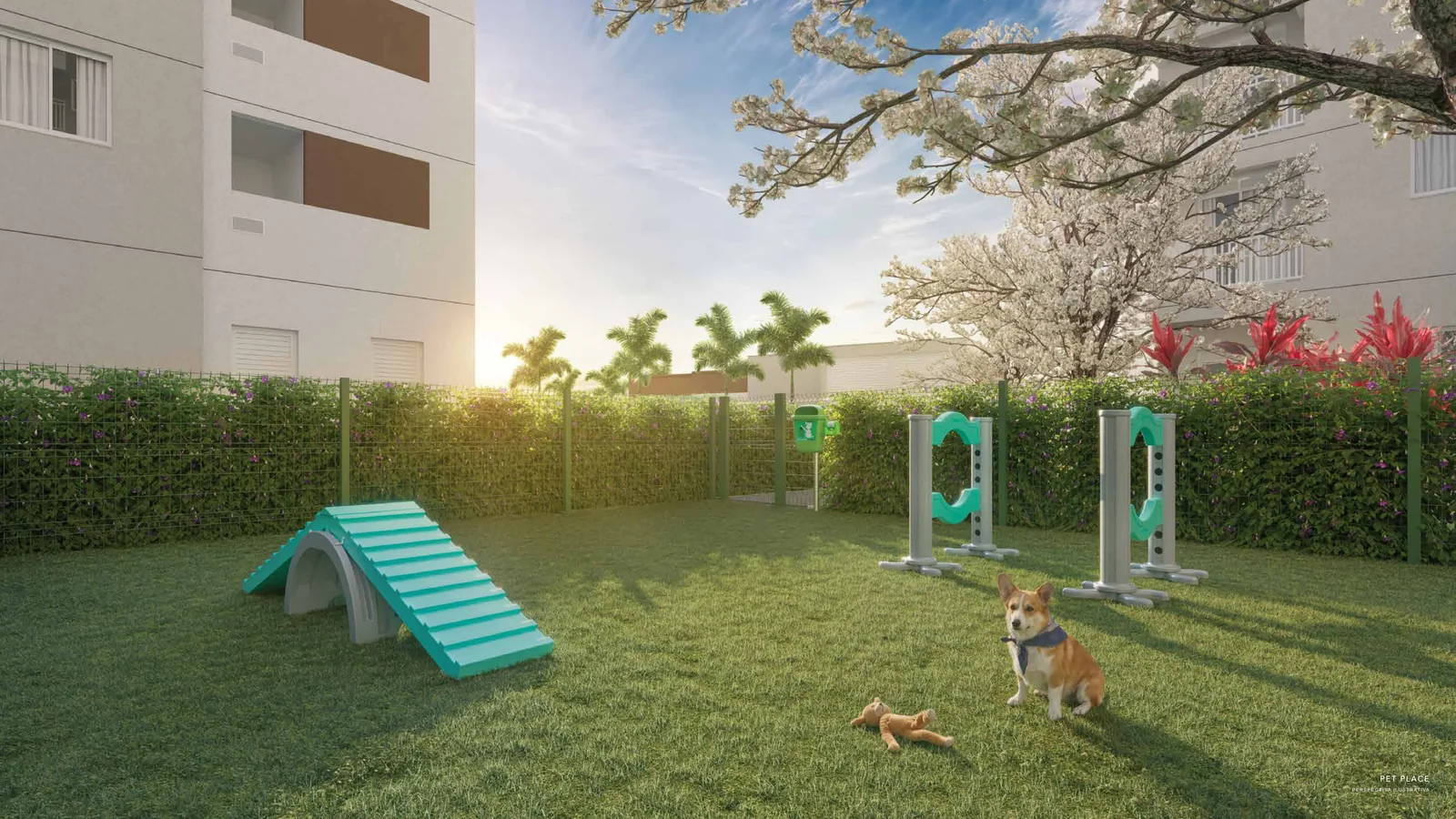 Pet place ao ar livre do Nova Leopoldina em Ramos, Rio de Janeiro
